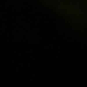 Meet your Posher, Angelica